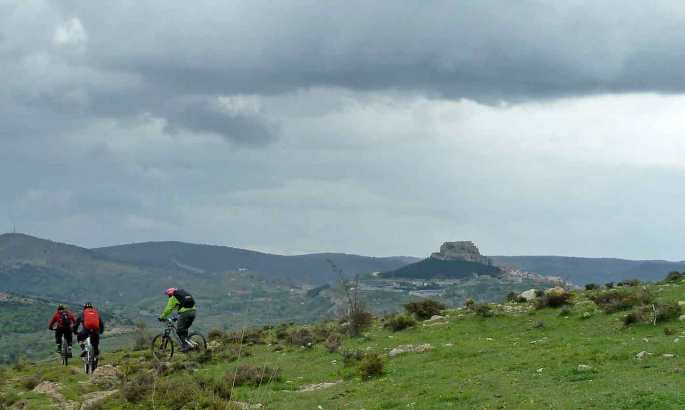 morella-sigletracks-9web