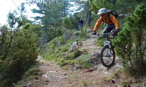 morella-sigletracks-10web