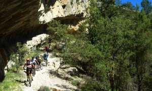 morella-sigletracks-11web