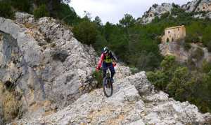 morella-sigletracks-12web