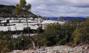 morella-sigletracks-1web