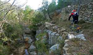 morella-sigletracks-6web