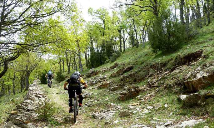 morella-sigletracks-8web