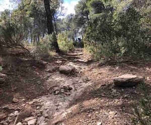 sierra-espuna-el-salvaje-arbike-guide