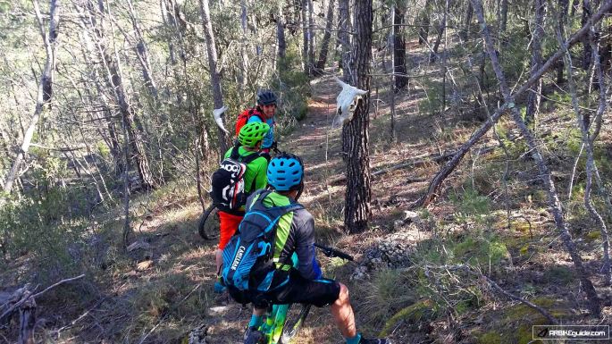 enduro mtb trip enduroland mtb