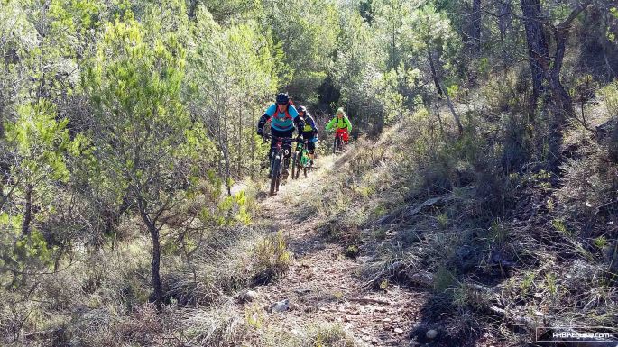 enduro mtb trip enduroland mtb