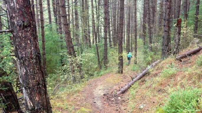 ruta Enduro Mtb La Rioja perfil-luezas-trevijano 1