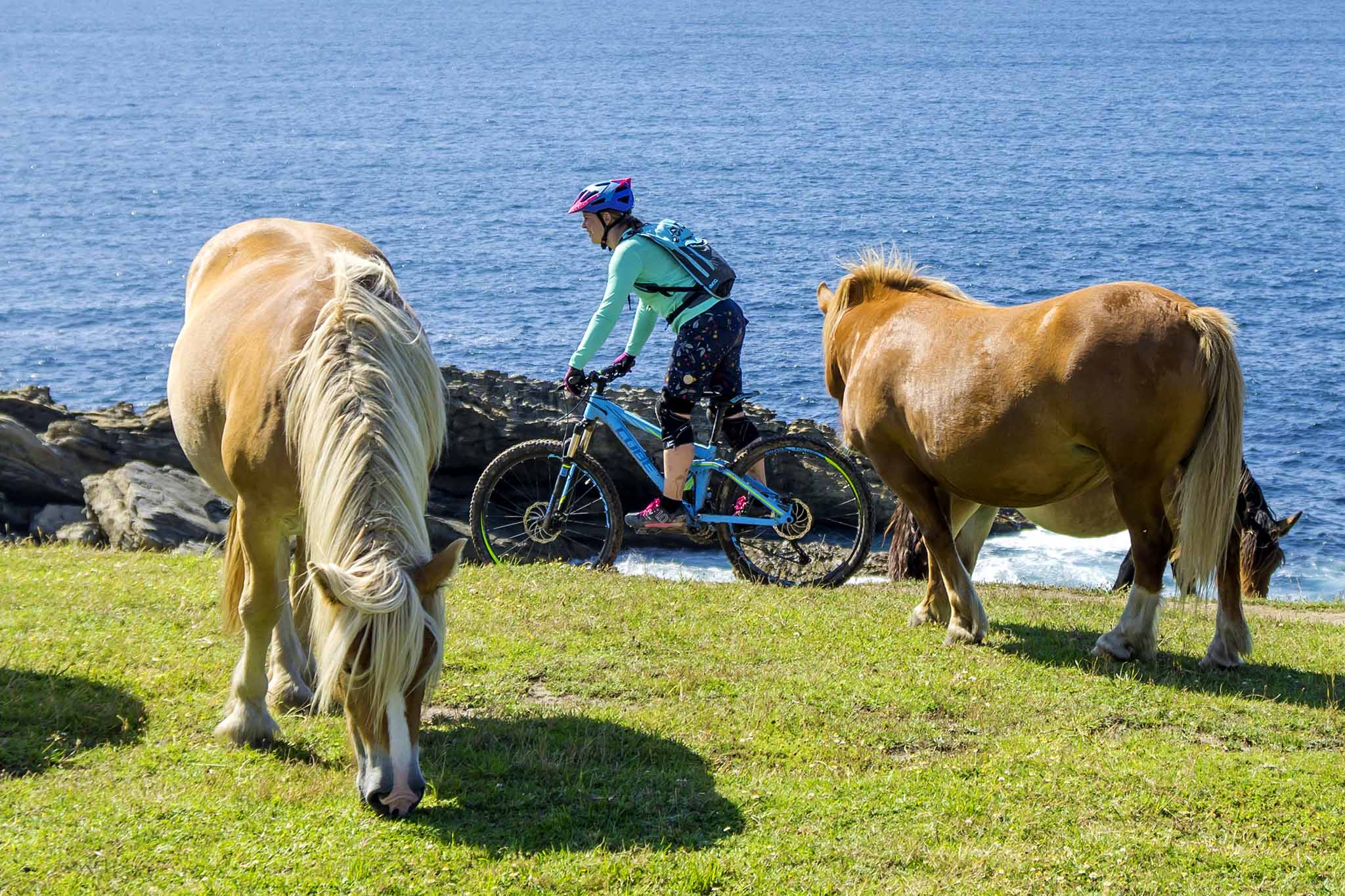 Zona Enduro Enduro Trip País Vasco