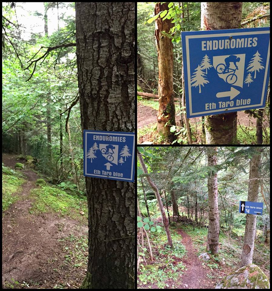 enduro mtb pirineos enduromies